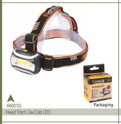HEAD TORCH 2W COB