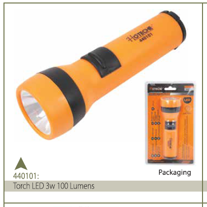 TORCH LED 3W 100 LUMENS