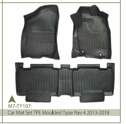 CAR MAT SET TPE MOULDED TYPE RAV