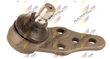 Ball Joint BJ1244