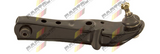 Control Arm : CS179