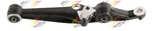 Control Arm : CS366